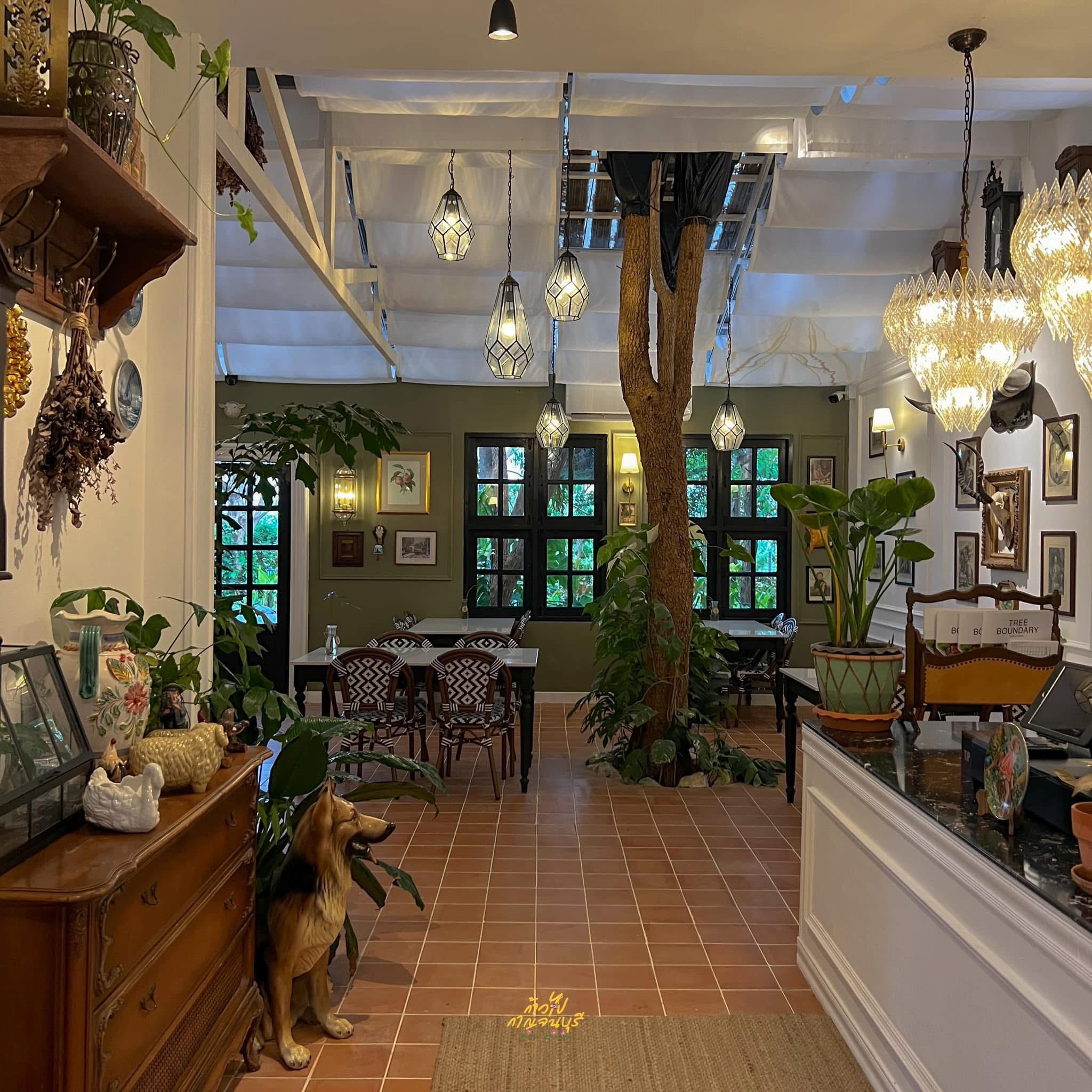Tree Boundary Cafe 2