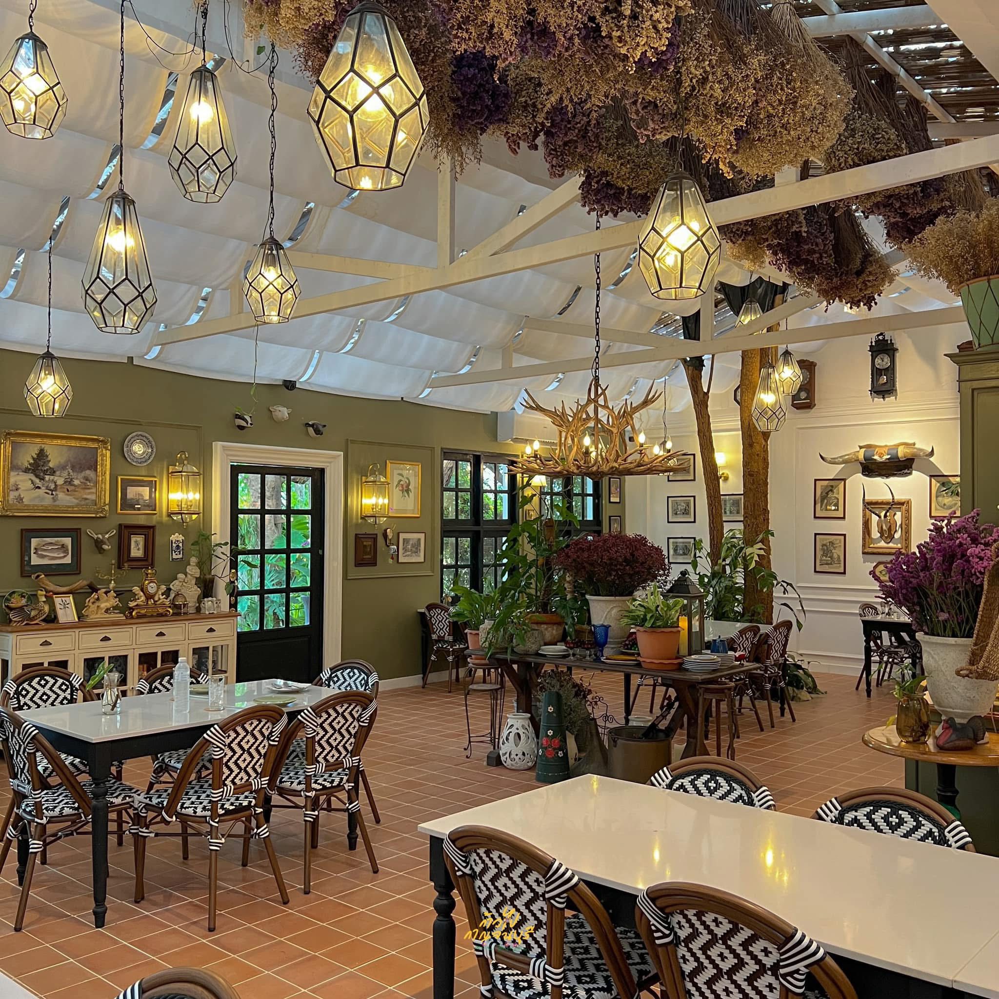 Tree Boundary Cafe 3