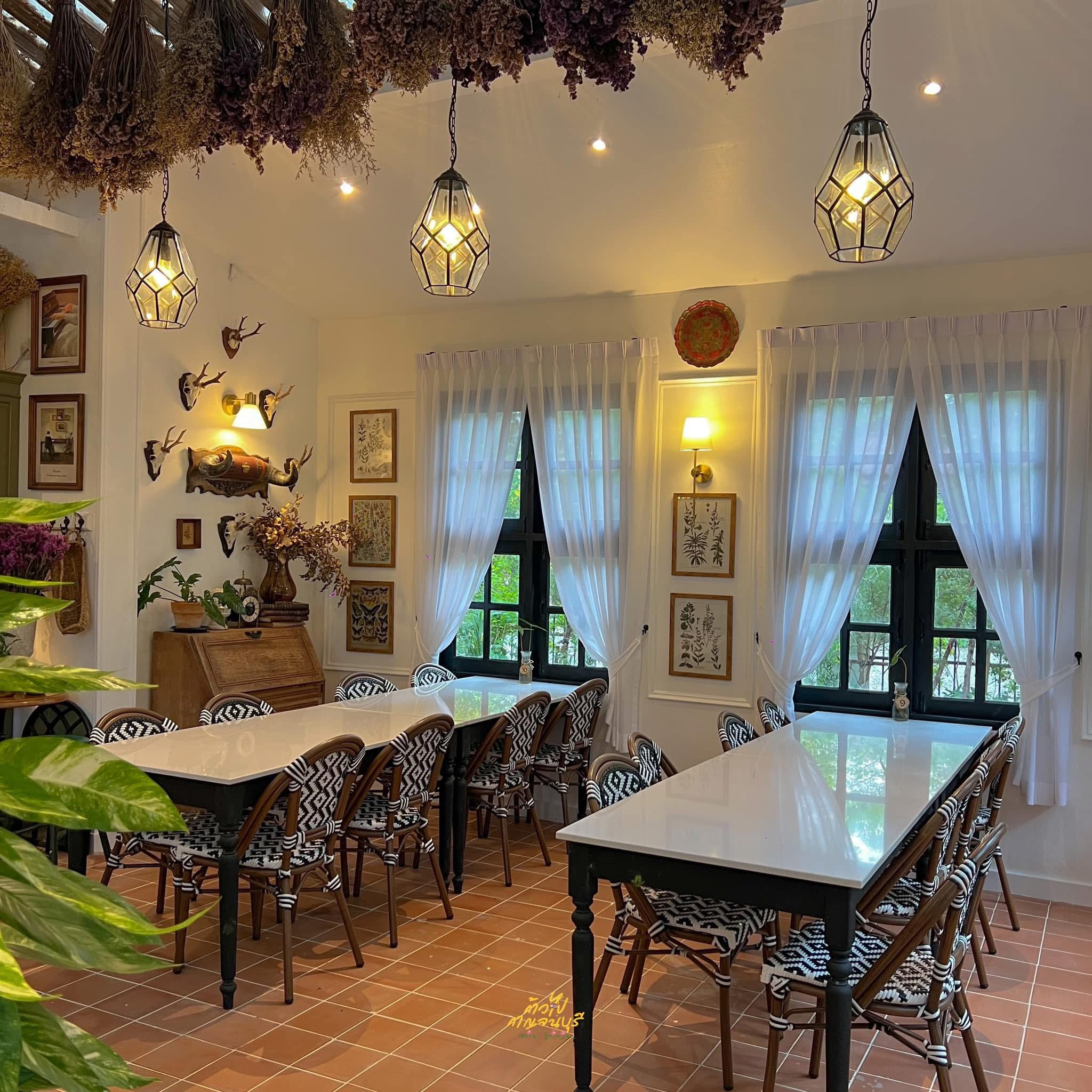 Tree Boundary Cafe 4
