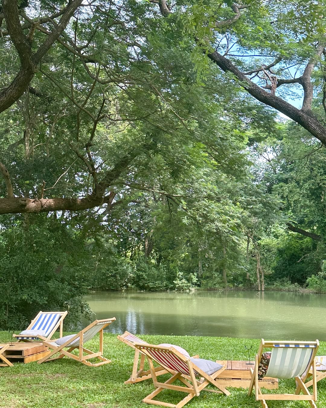 มัลเบอร์รี่ เมลโล่ กาญจนบุรี