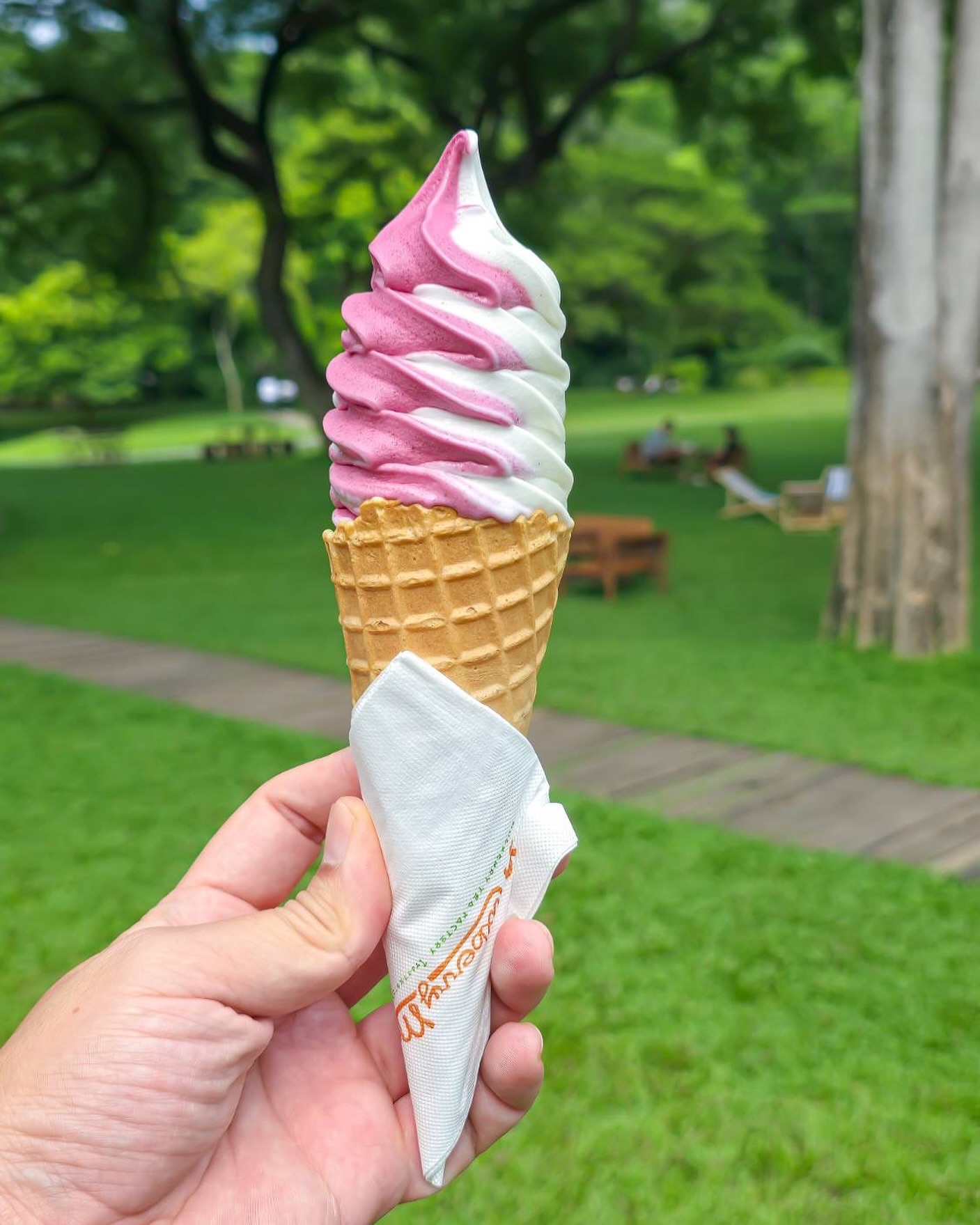 มัลเบอร์รี่ เมลโล่ ไอศกรีม